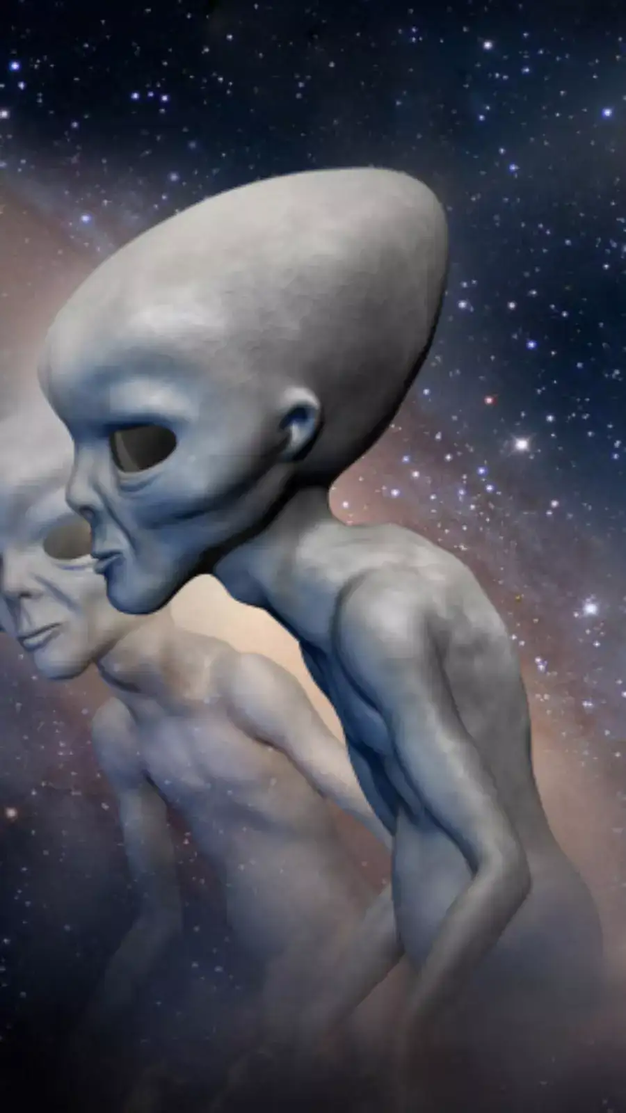 The Greys Aliens From Dark Skies