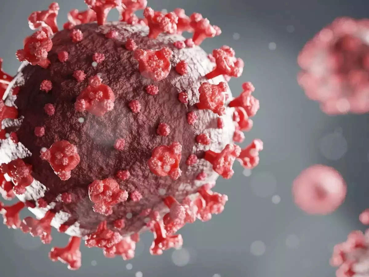 New coronavirus variant a ‘serious concern’ in South Africa