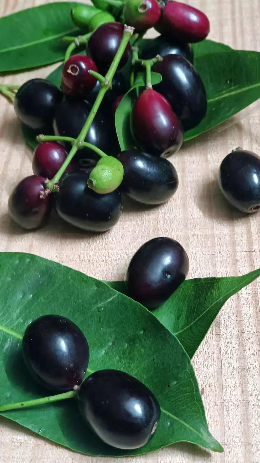 jamun in english