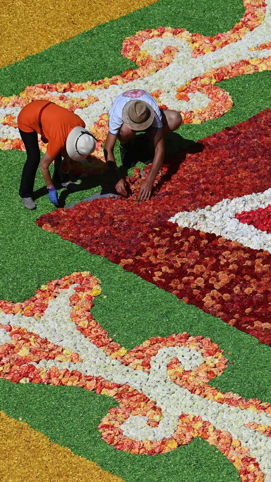 Brussels' giant flower carpet blooms despite heatwave | EconomicTimes