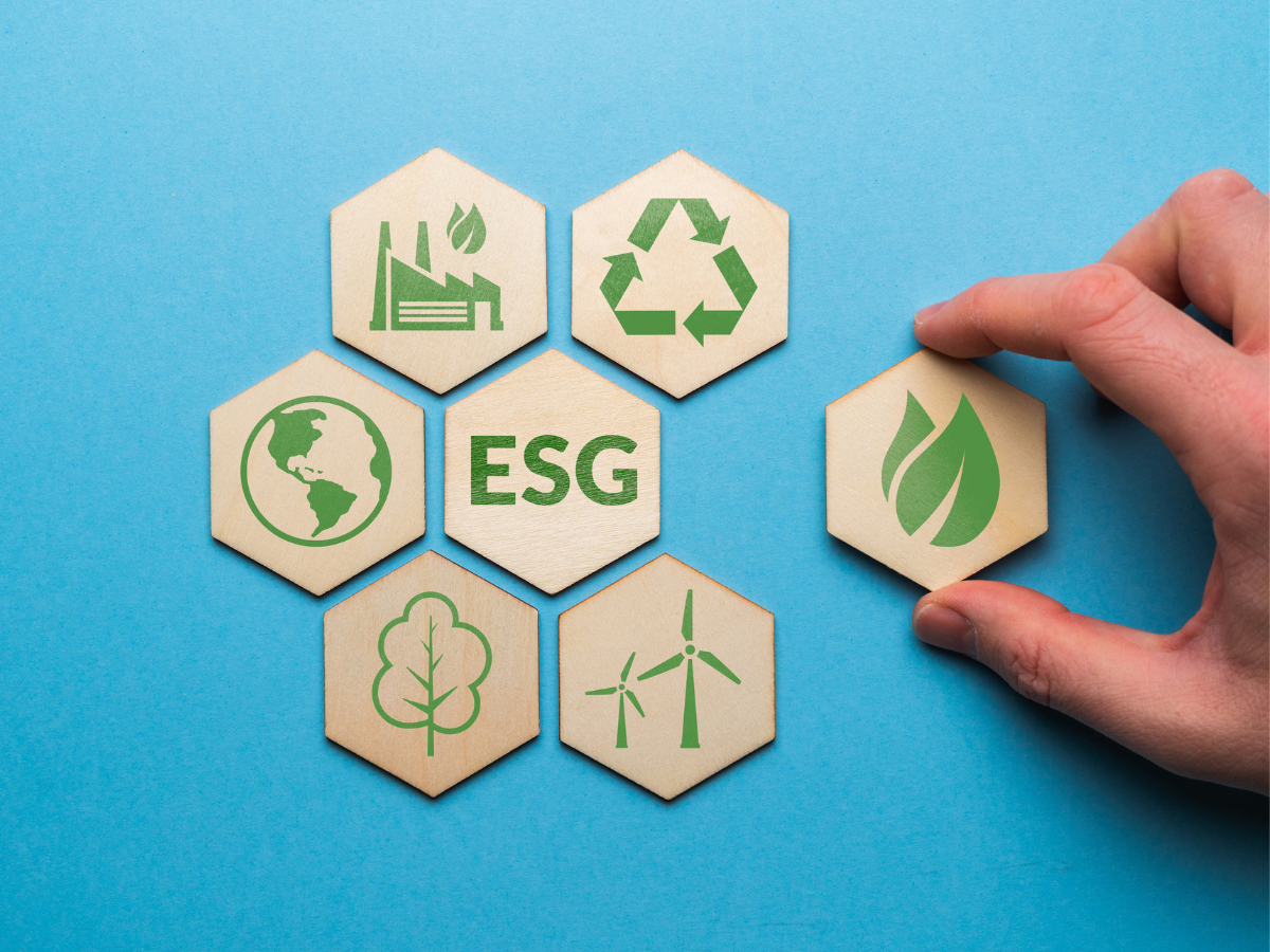 Companies scout for top ESG talent to drive sustainability plans