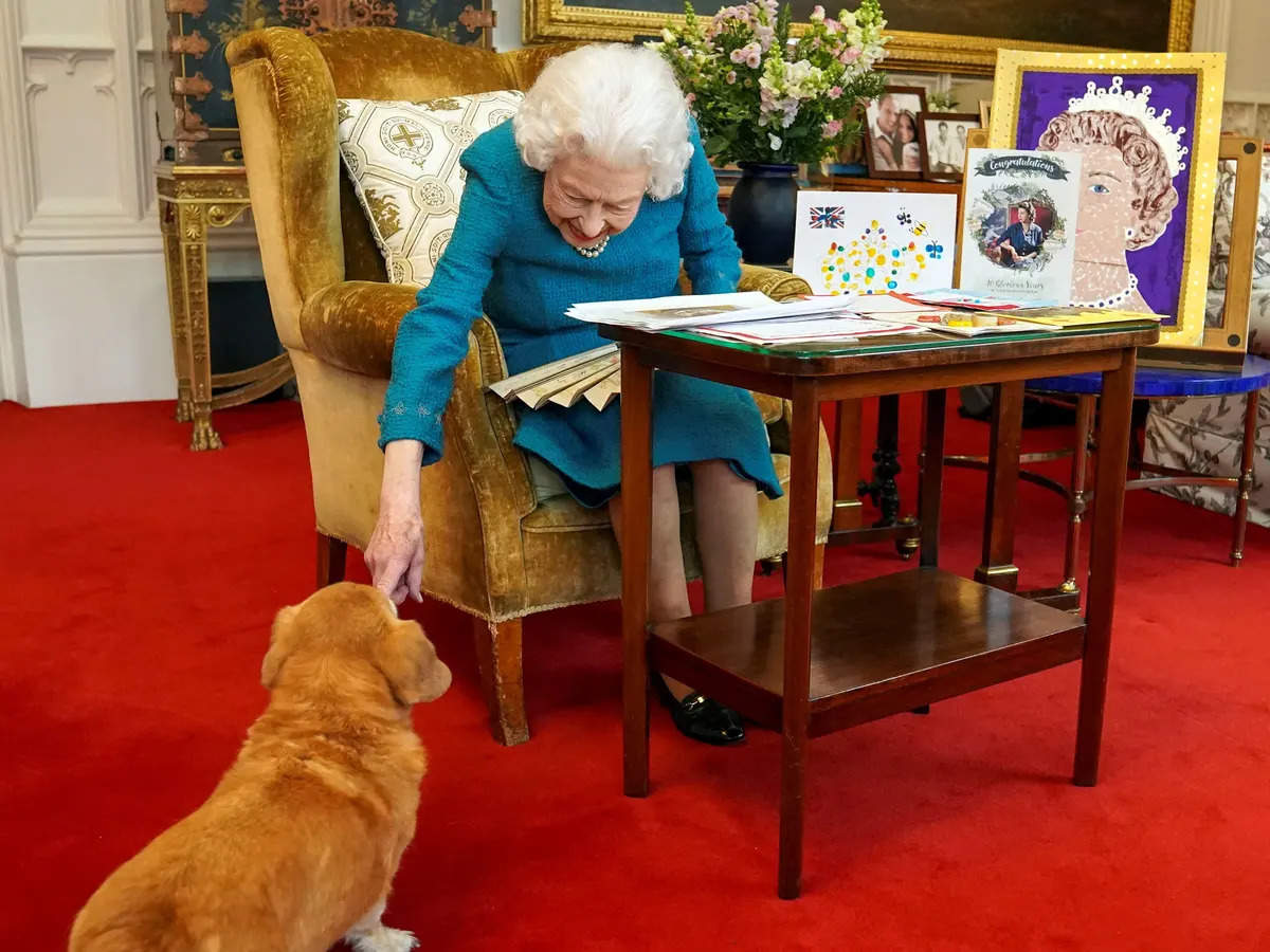 How are Queen's Corgis? Special update from Prince William