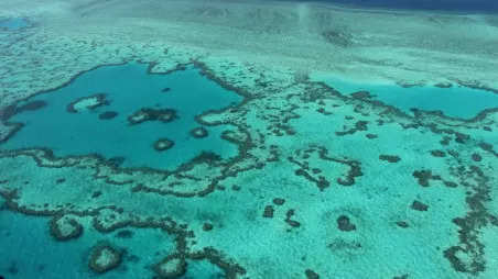 UN report says Great Barrier Reef should be under ‘in danger’ list of world heritage sites