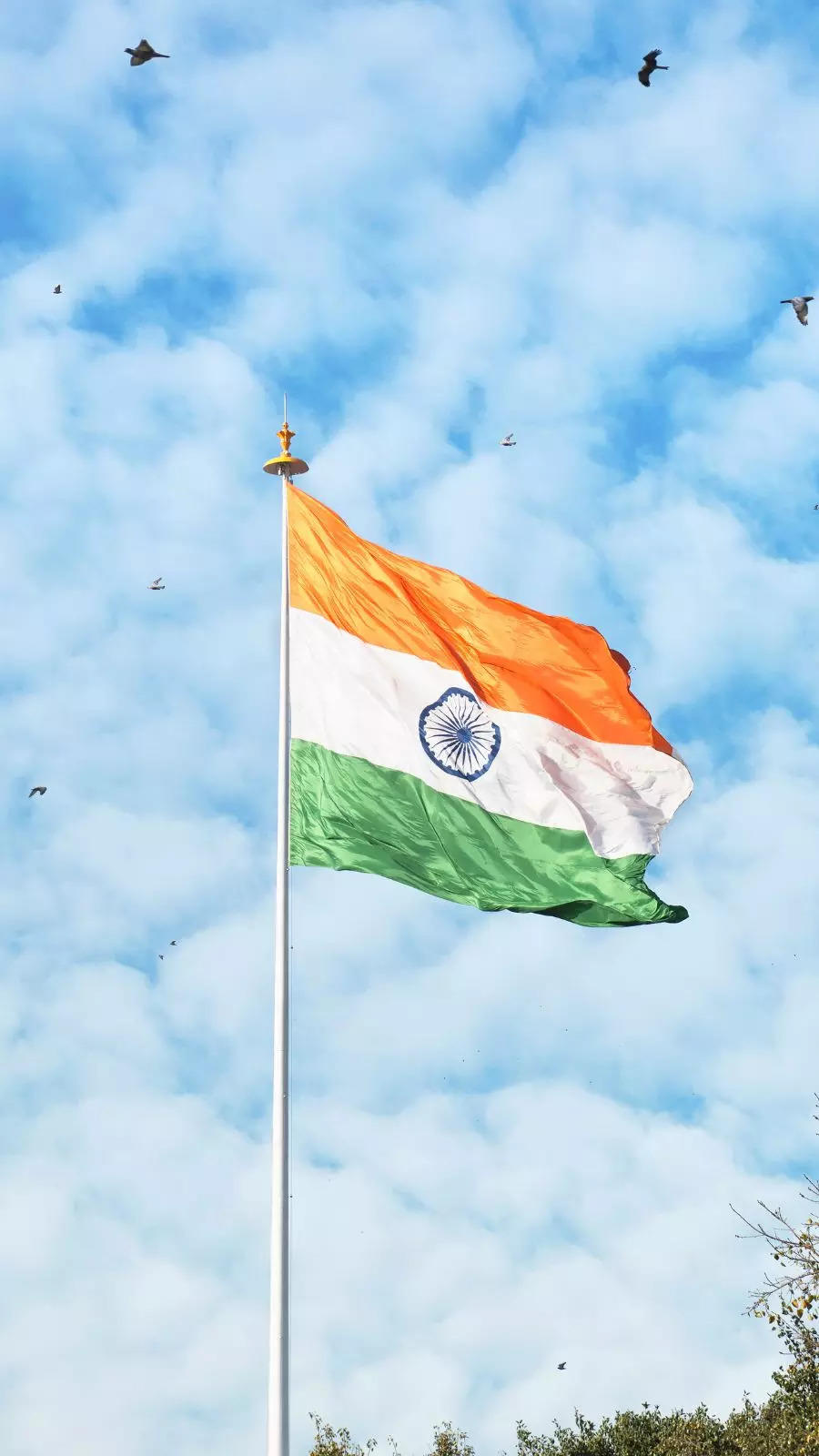 national flag: Republic Day 2023: Journey of India's national flag ...