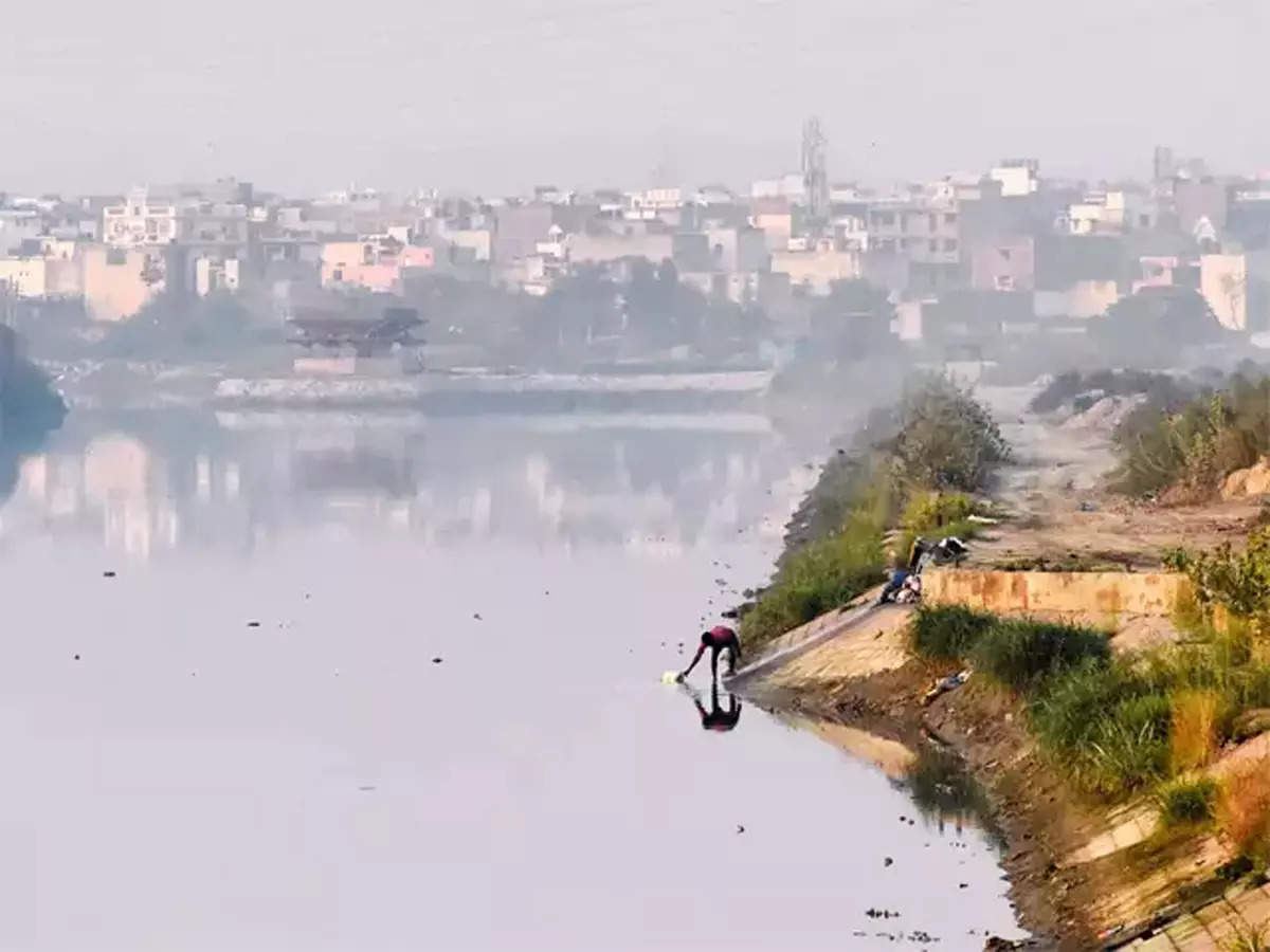 NGT-formed committee decides to develop bio-diversity park in Yamuna floodplain