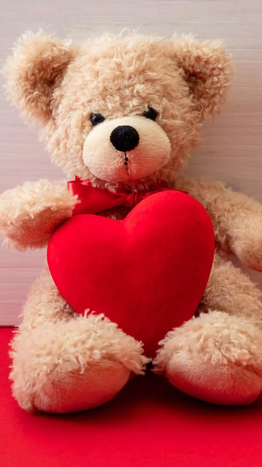 teddy day WhatsApp Messages: Teddy Day wishes, messages, WhatsApp ...