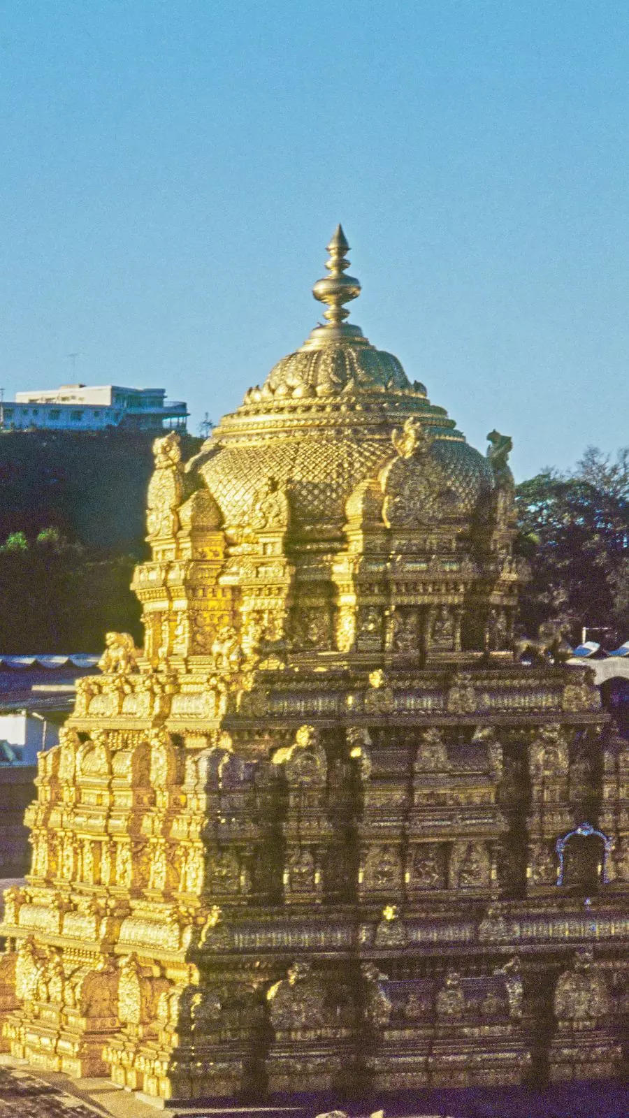tirumala gopuram