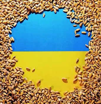 Russia may quit grain deal if EU ban implemented