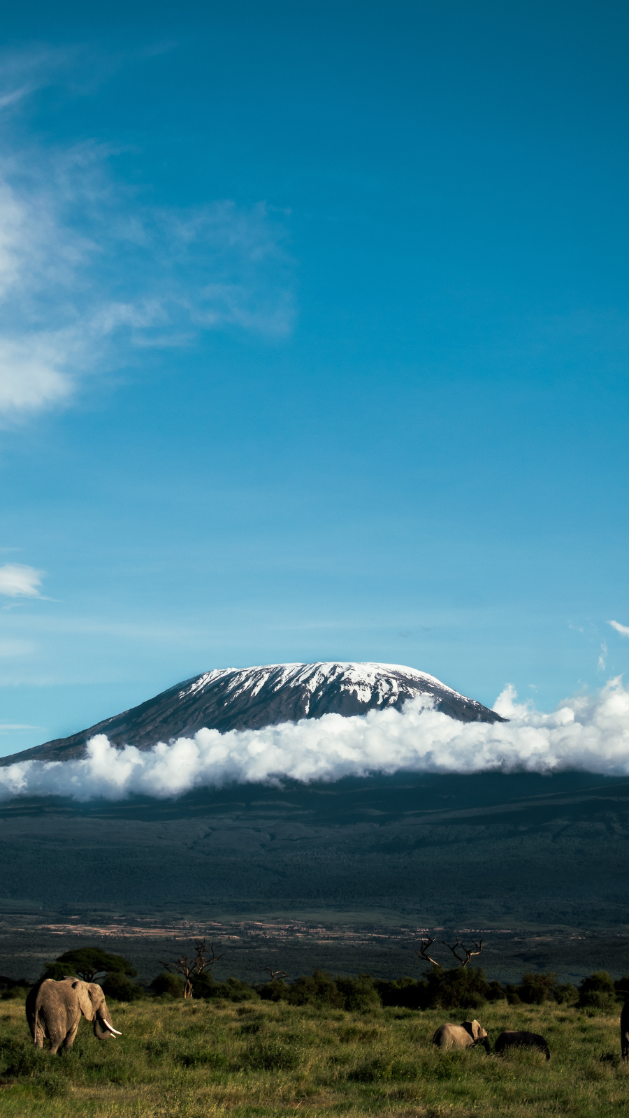 See Mount Kilimanjaro from the sky | Mount Kilimanjaro Hike