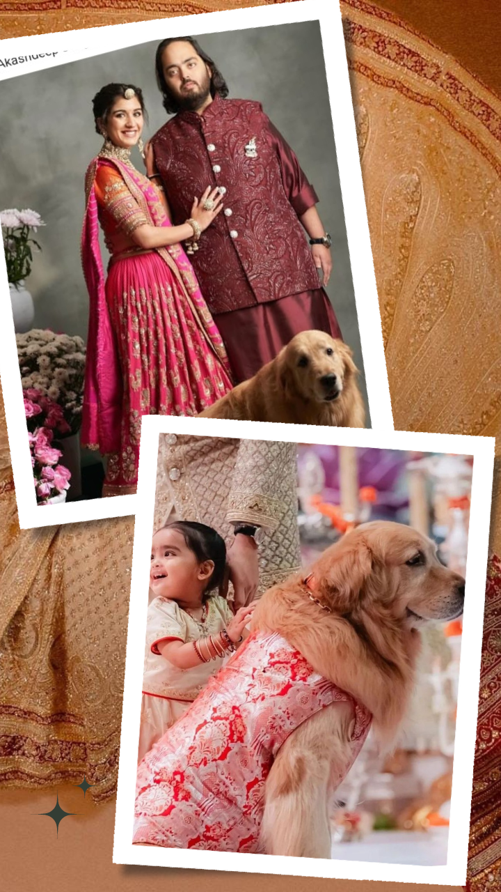 Check Out Designer Dresses of Ambani Family Dogs - Happy and Popcorn