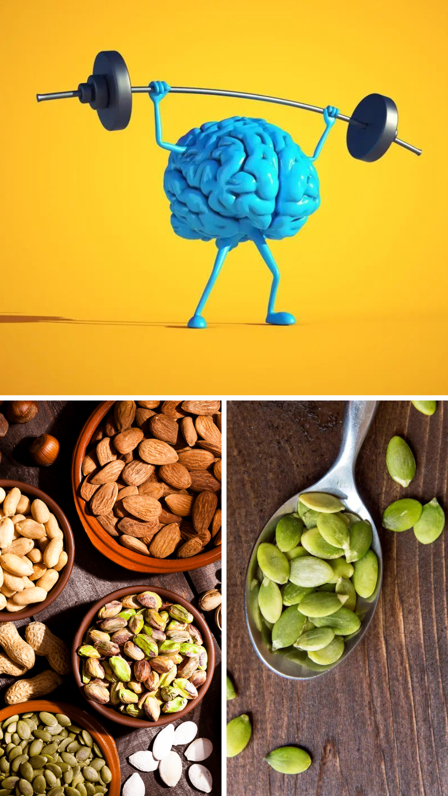 8 Foods To Boost Your Brain Power and Memory