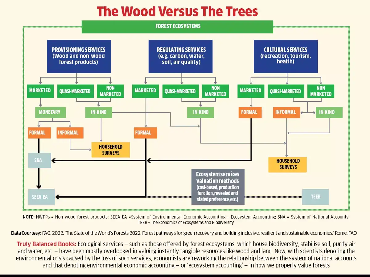 Measuring deforestation’s true impacts is complicated because this ...