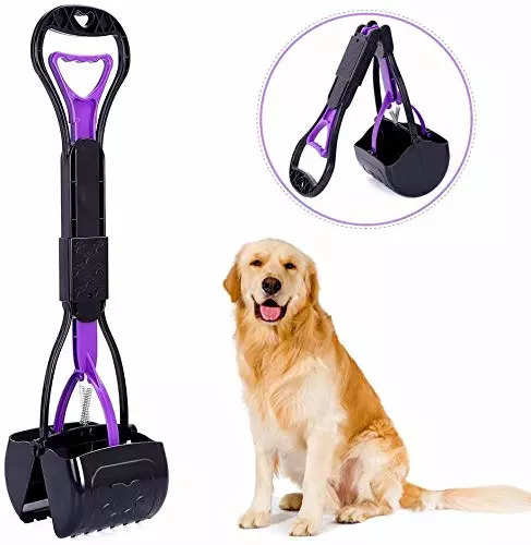 6 Best-selling Dog Leash Online - Treat your dog to a stylish