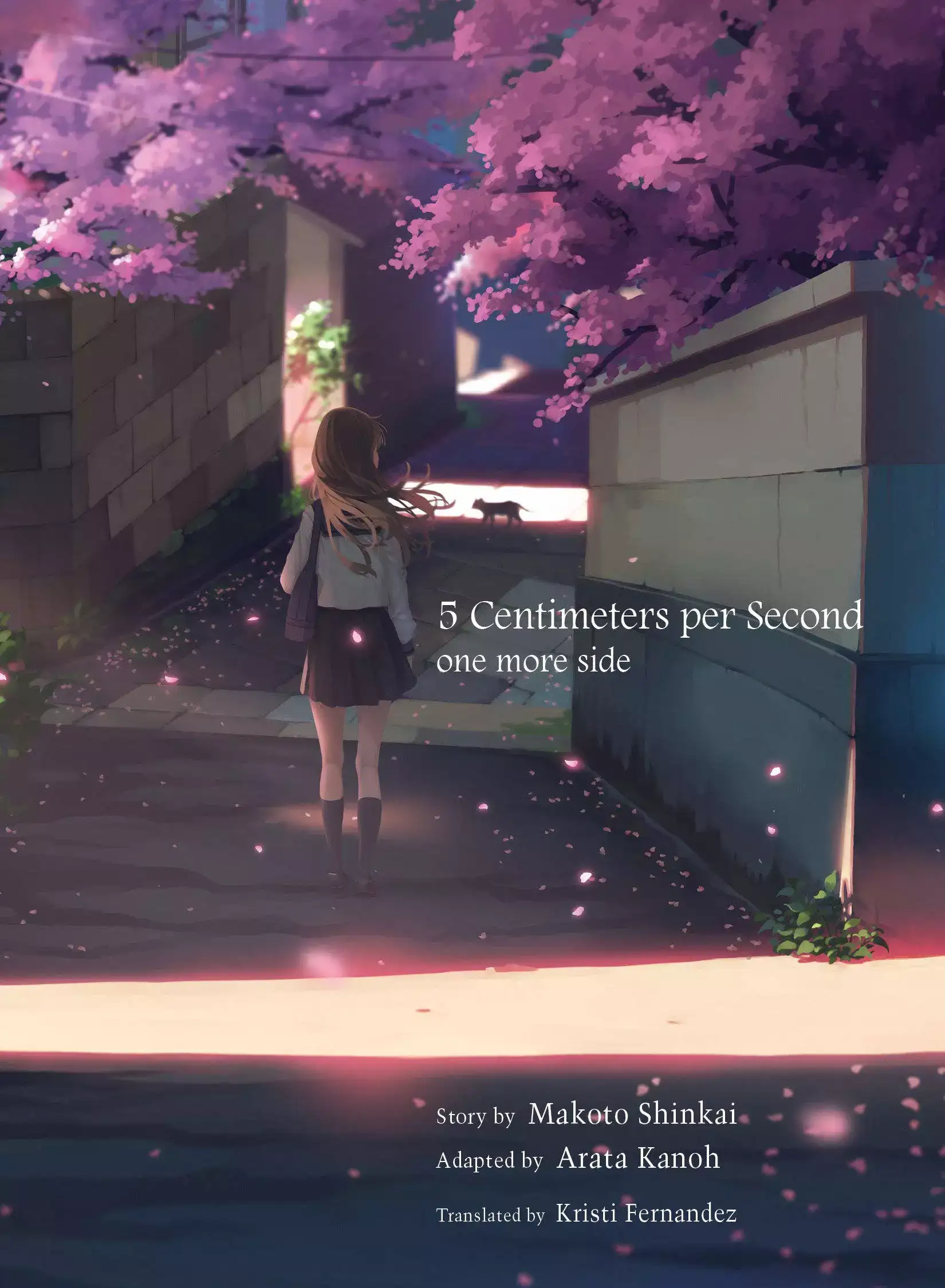 Image for 5CentimetersperSecondbyMakotoShinkai