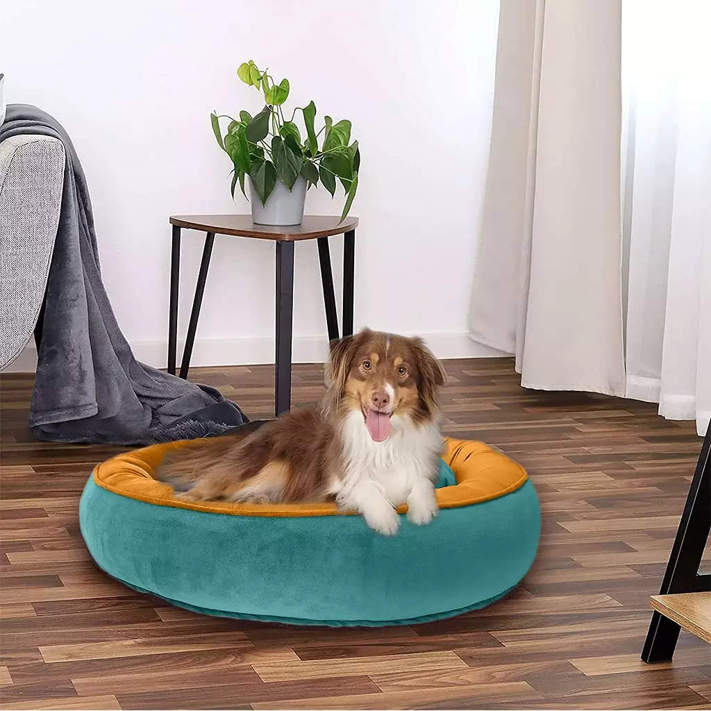 Cheap small dog bed sale