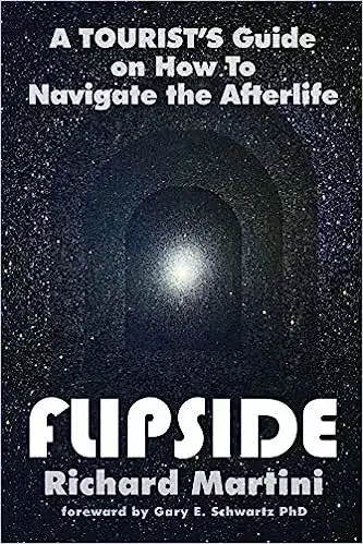 Image for Flipside%3AATourist'sGuideonHowtoNavigatetheAfterlife