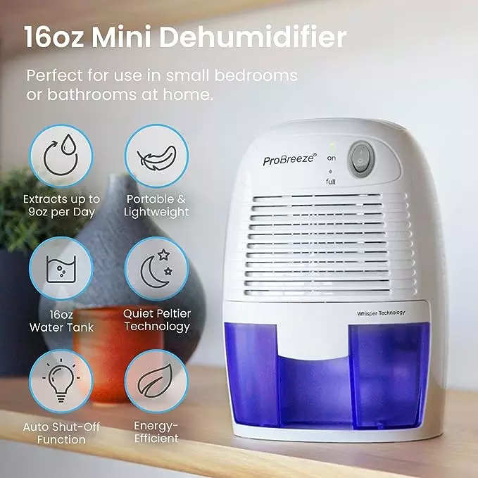 Mini Dehumidifier for Home Portable Air Dryer with Auto-off and Air  Dehumidifier : : Home & Kitchen
