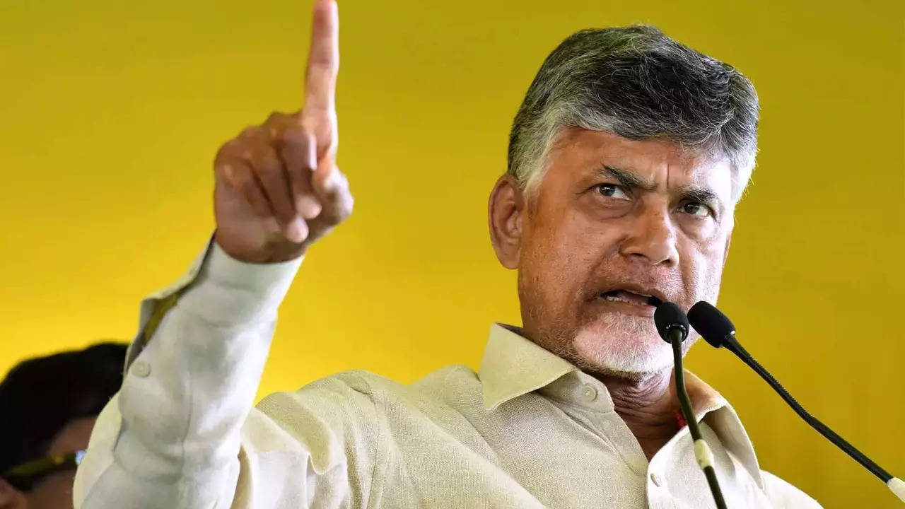 Chandrababu Naidu arrest: TDP calls for statewide bandh on September 11 