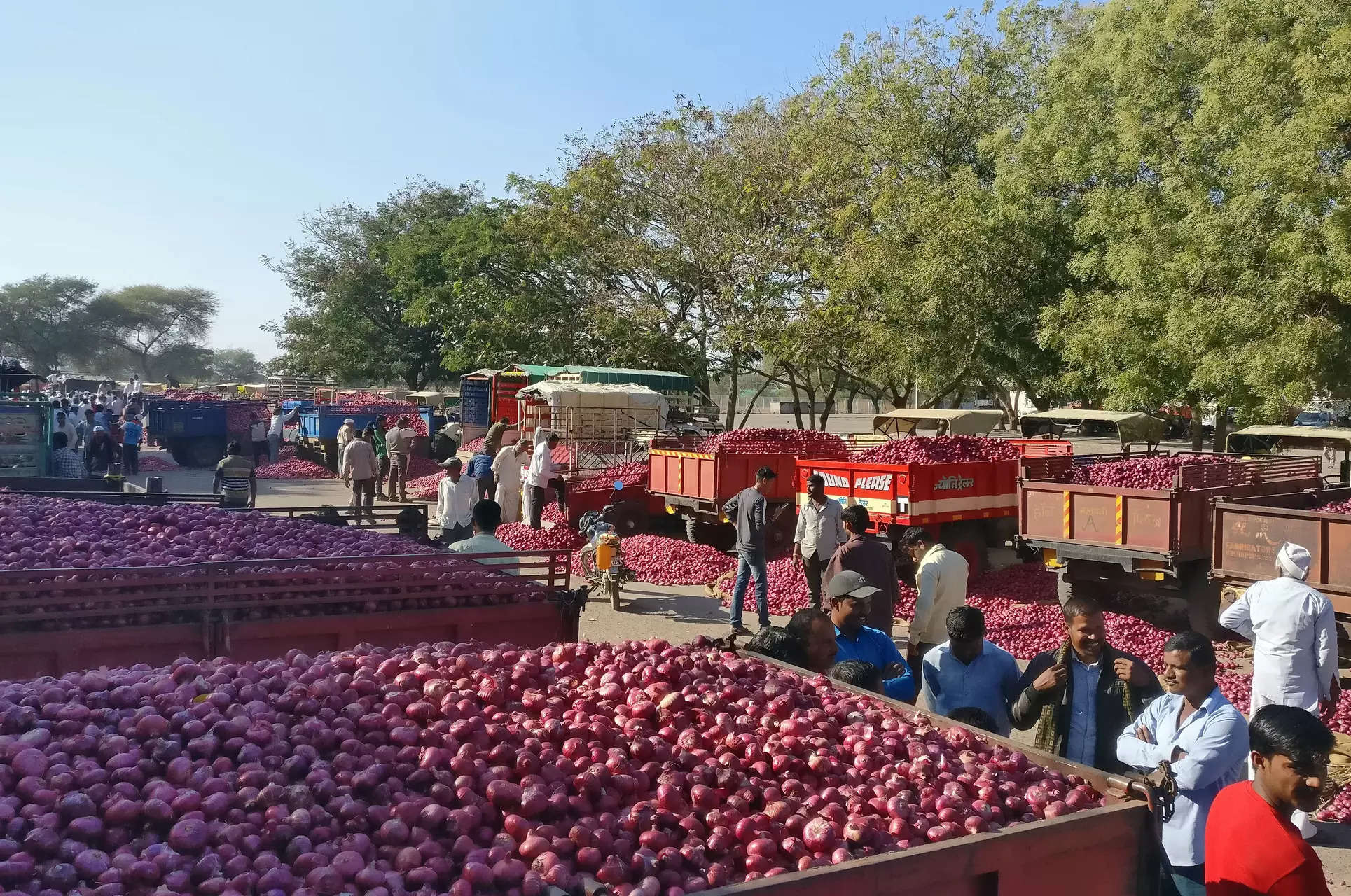 Onion auctions resume at APMCs in Nashik after traders call off strike 
