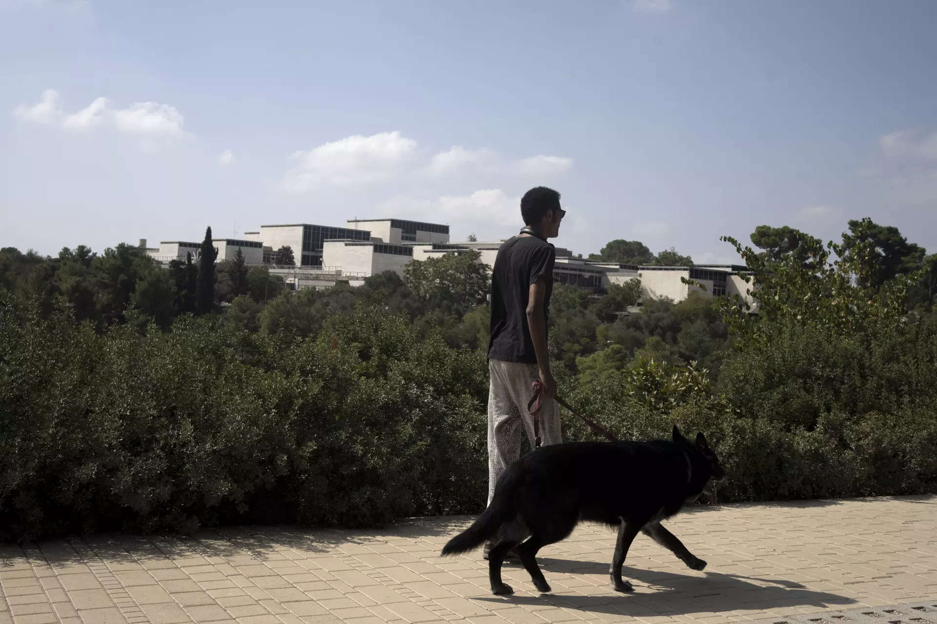 American tourist arrested at Israel museum; Here’s what Israeli police said 