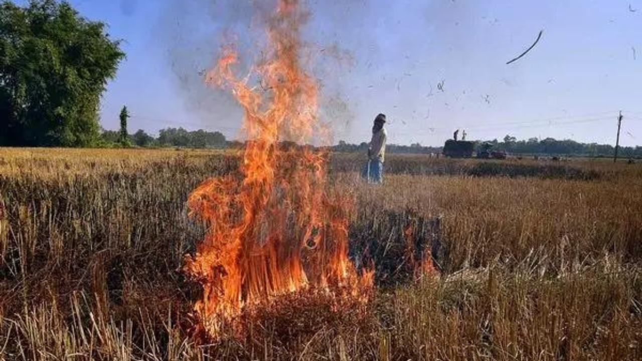 Punjab reports over 1,500 farm fires; Haryana AQI in 'severe', 'very poor' categories 