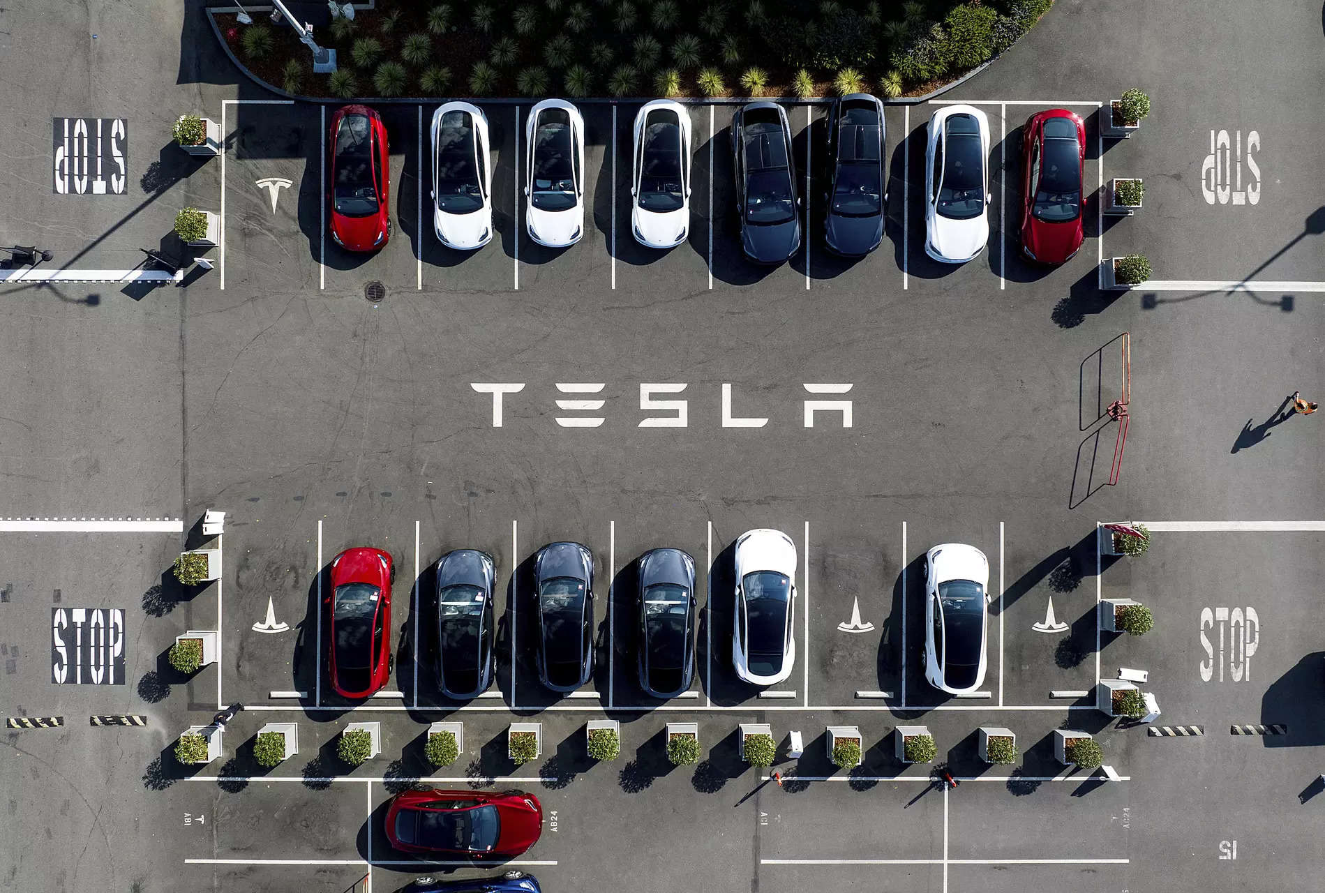 Tesla's China-made EV sales skid 17.8% on year in November 