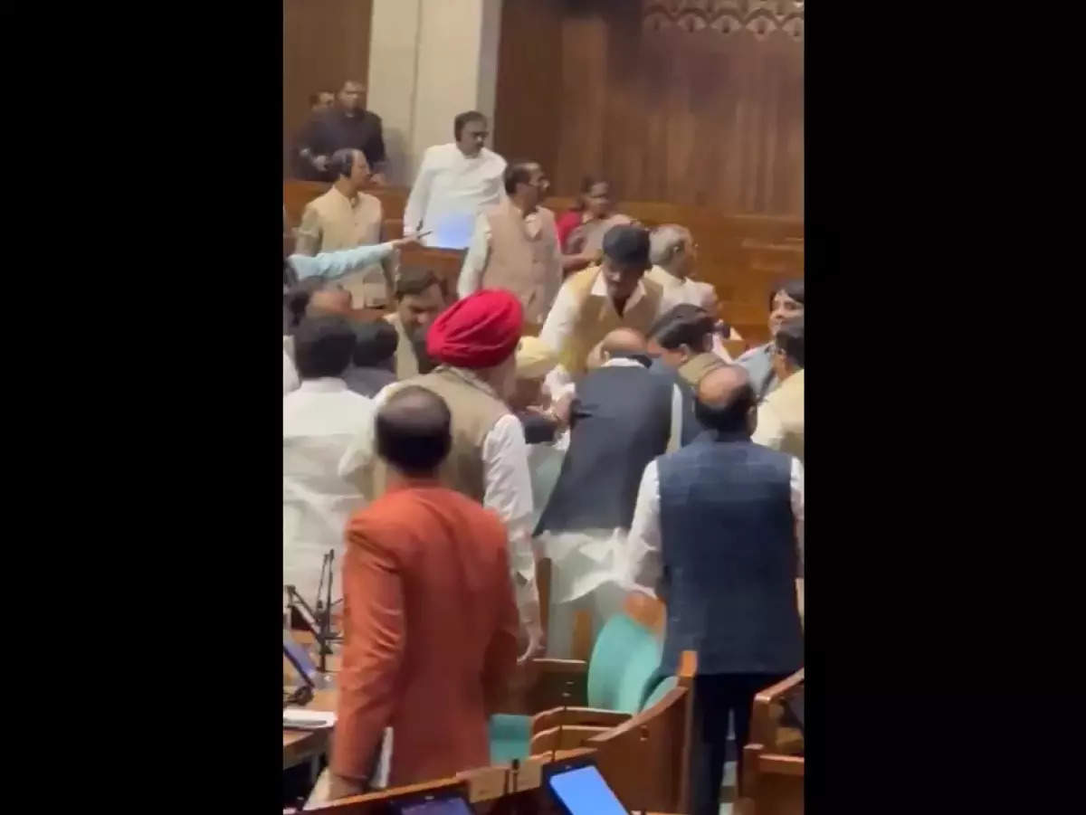 'Don't harm us, we're here just to protest': Pleaded Parliament intruders while being thrashed by MPs 