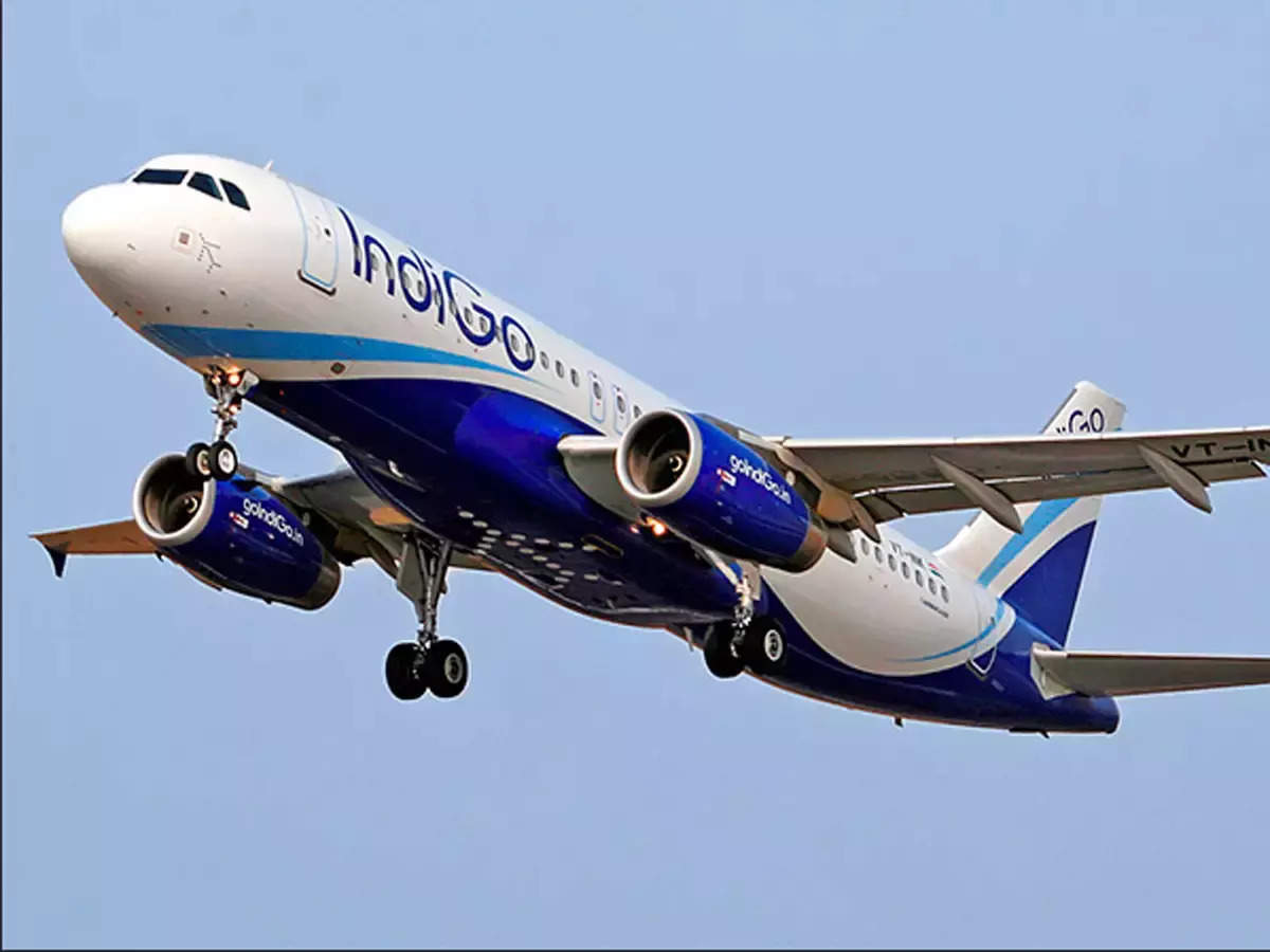 IndiGo apologizes after woman found worm in sandwich served to her 