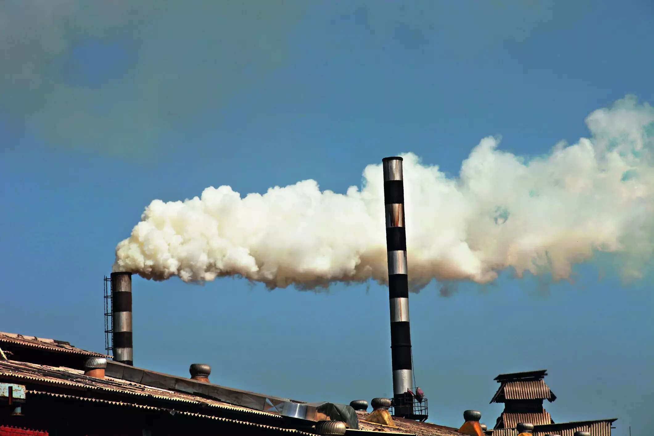 Urgent action needed to tackle India's carbon emissions: Javadker 