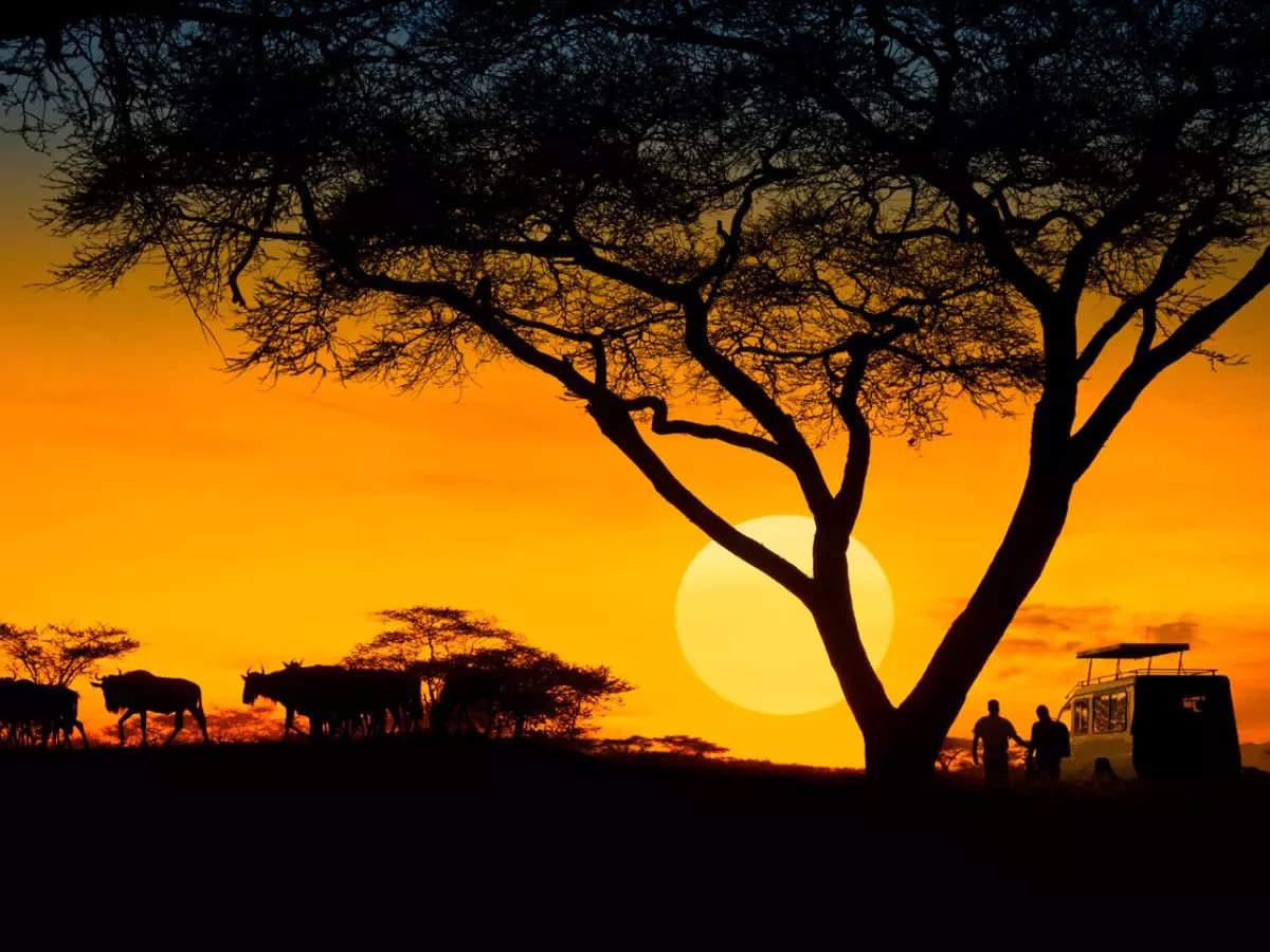 Safari in mind? Indian passport can take you to these African countries visa-free:Image