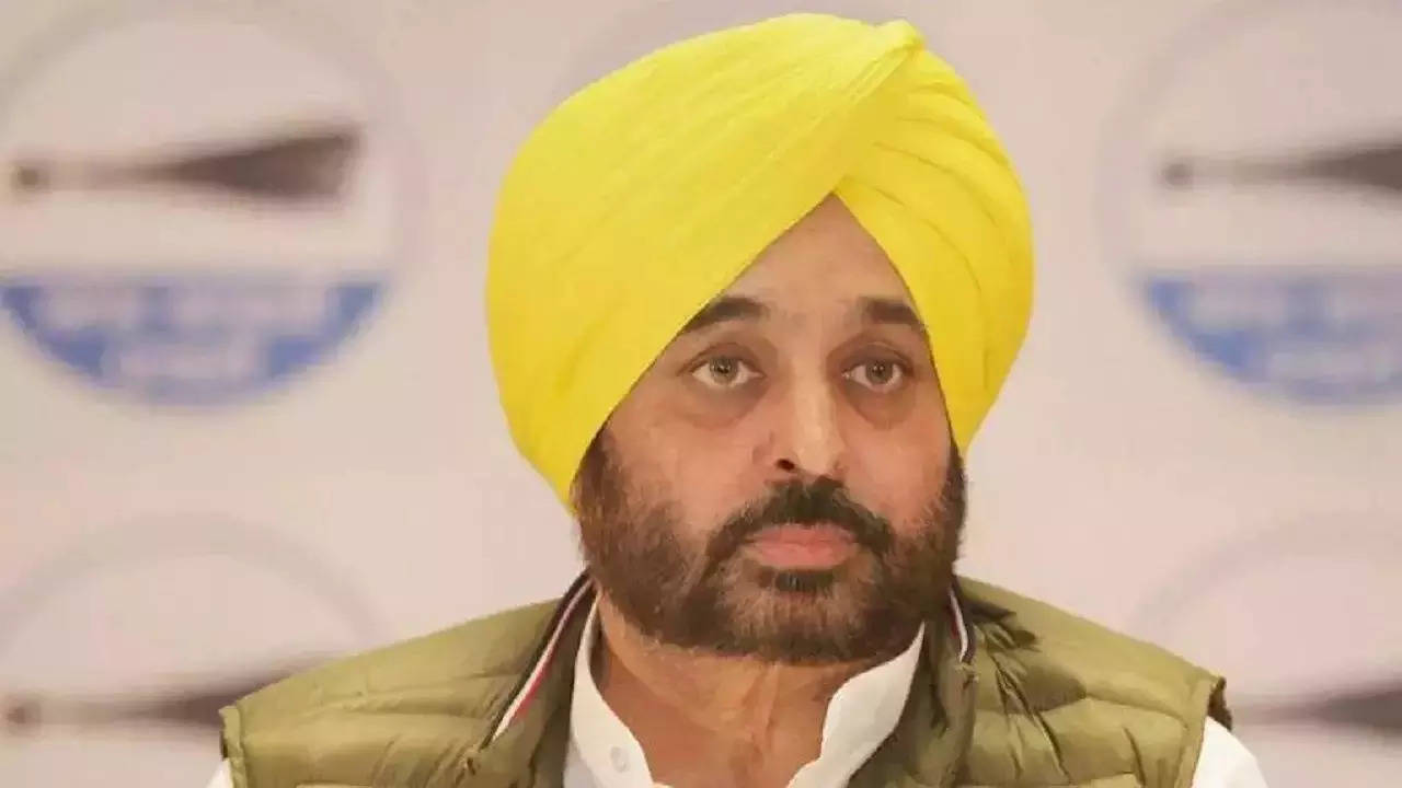 BJP government at Centre misusing probe agencies, people will give befitting reply: Punjab CM 