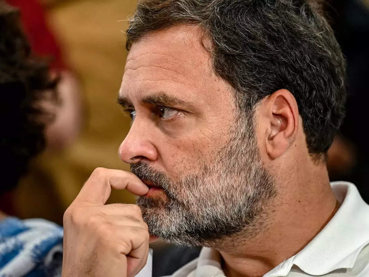 Lok Sabha Elections 2024: Things to know about Rahul Gandhi, Congress candidate from Wayanad:Image