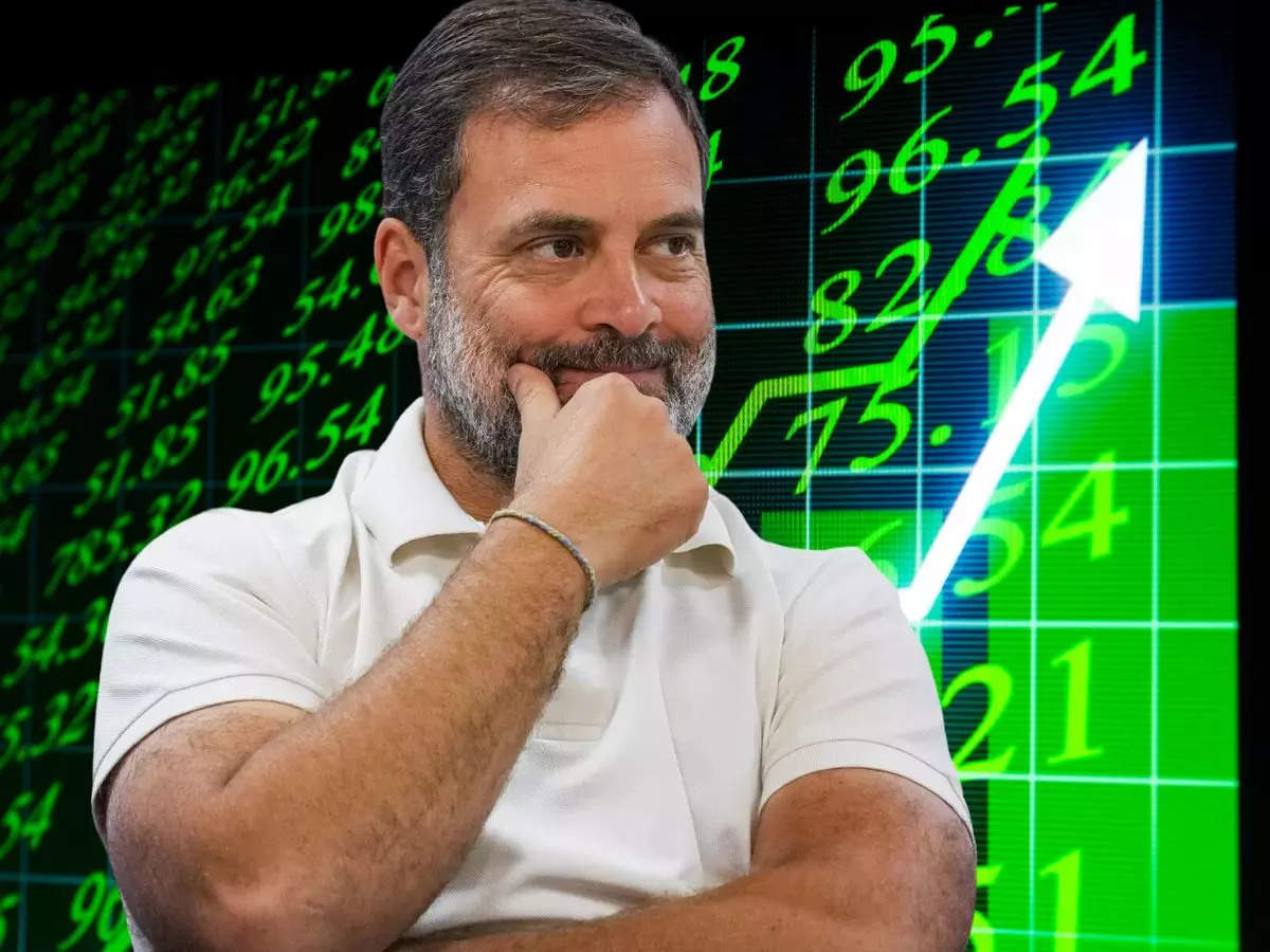 Rahul Gandhi investment portfolio: Stocks, MFs and Sovereign Gold Bonds:Image