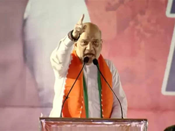 Congress-SP combine wiped out in first phase: Amit Shah in Mathura 