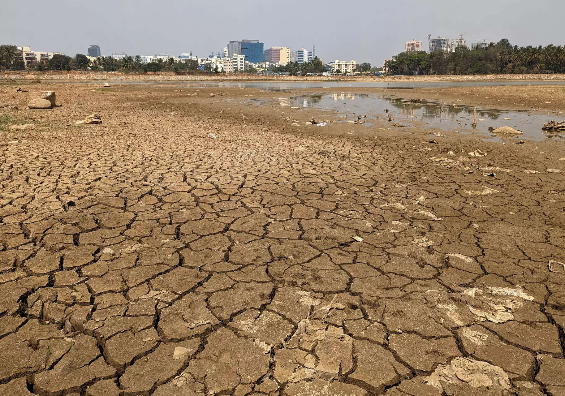 How drying up of nearly 150 lakes is killing the city of gardens, Bengaluru 