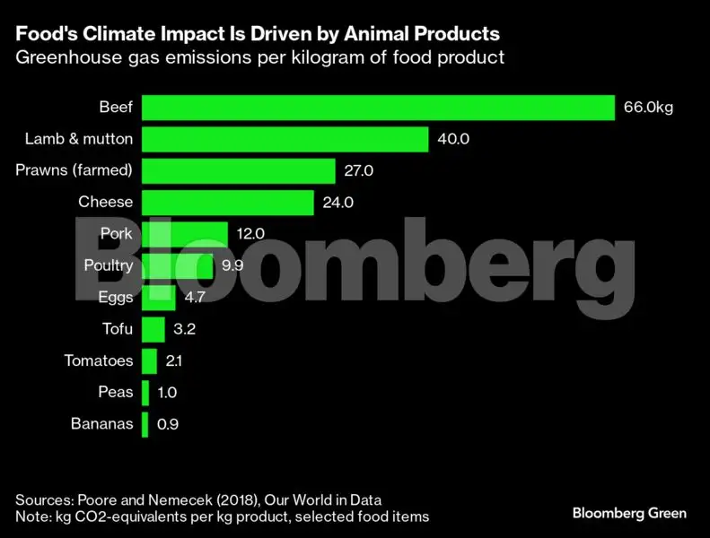 Cut aid for livestock farms to help climate fight, World Bank says ...