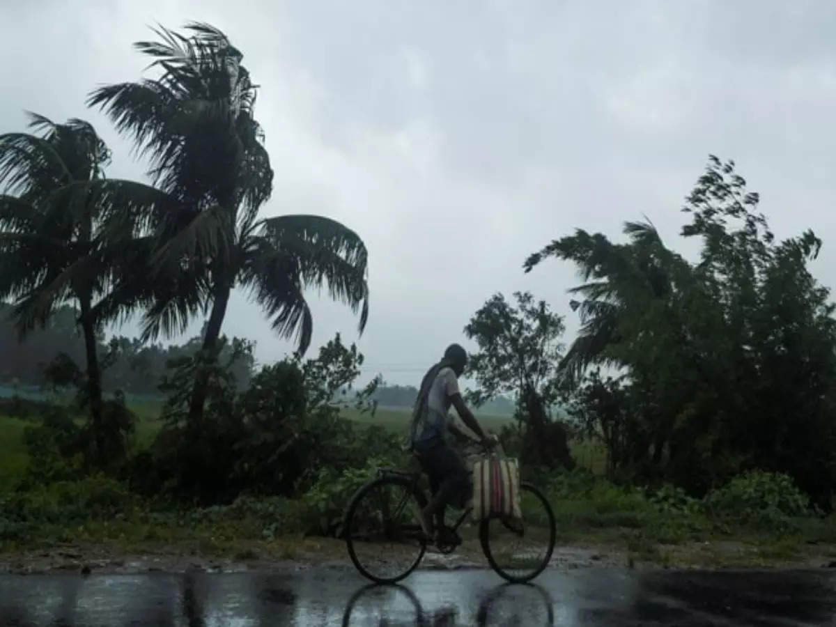 Southwest monsoon to advance to the Andamans by May 19: IMD 