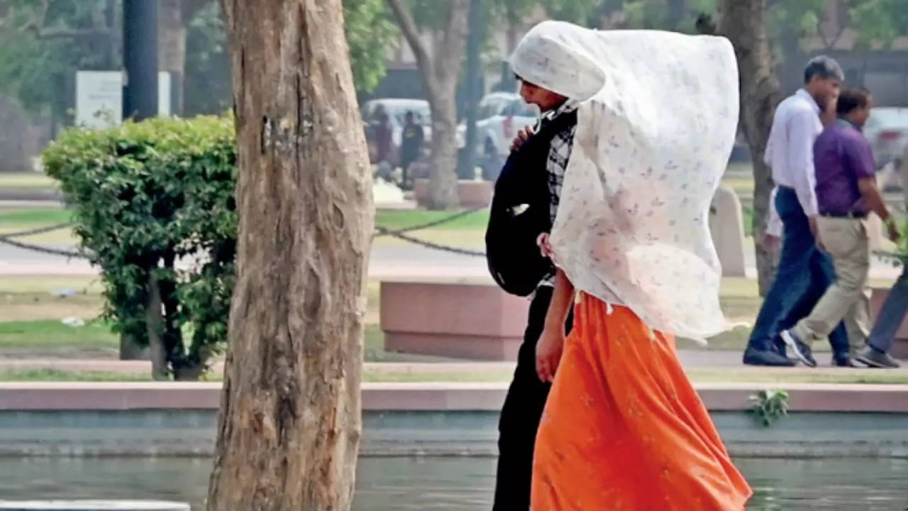 Delhi Heatwave: National Capital on 'red alert' after temperature rises 44.4 deg C 