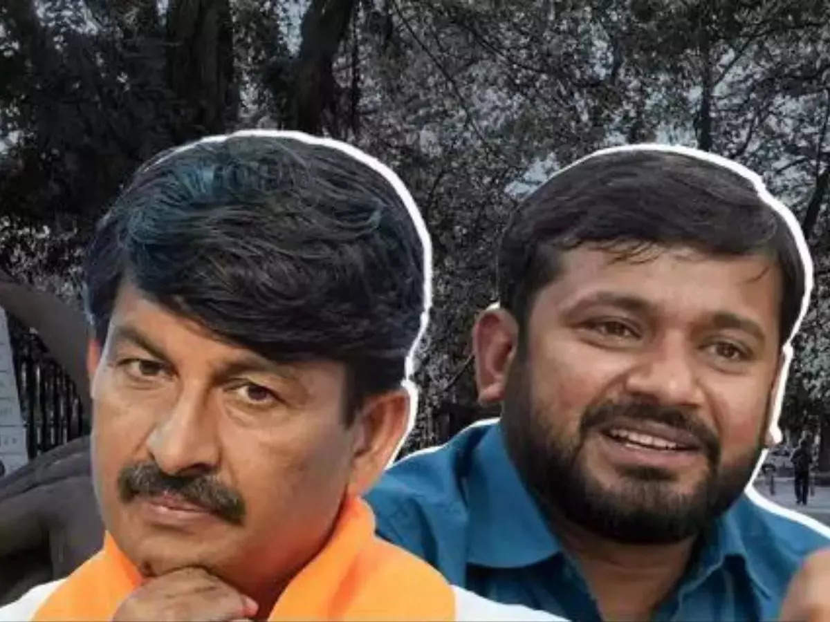 North East Delhi Lok Sabha Polls: Local issues in spotlight as BJP's Manoj Tiwari takes on INDIA bloc's Kanhaiya Kumar 