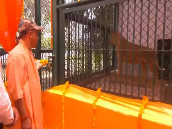 CM Yogi releases Asiatic Lion pair 'Bharat' and 'Gauri' in Gorakhpur Zoo 