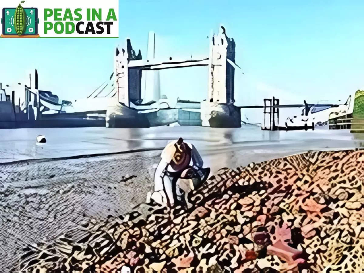 Peas in a podcast: Mudlark along the Thames 