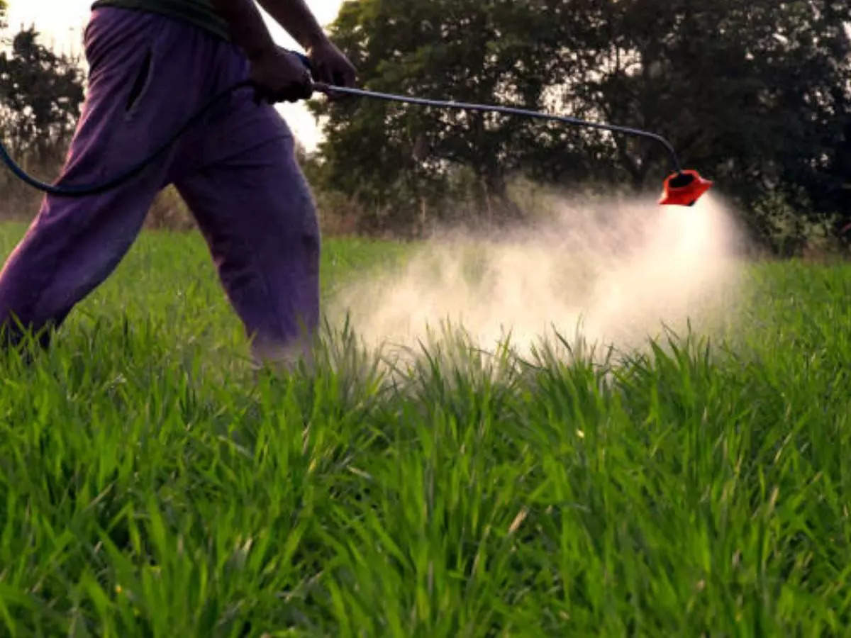 Best Agrolife to launch new insecticide for resistant pests in July 