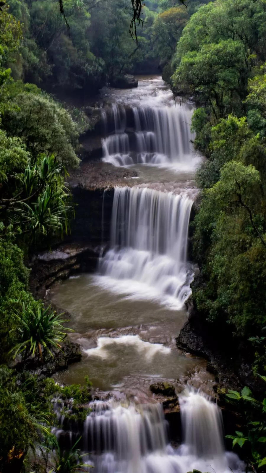 8 things to do at Cherrapunji, Meghalaya's hidden gem 