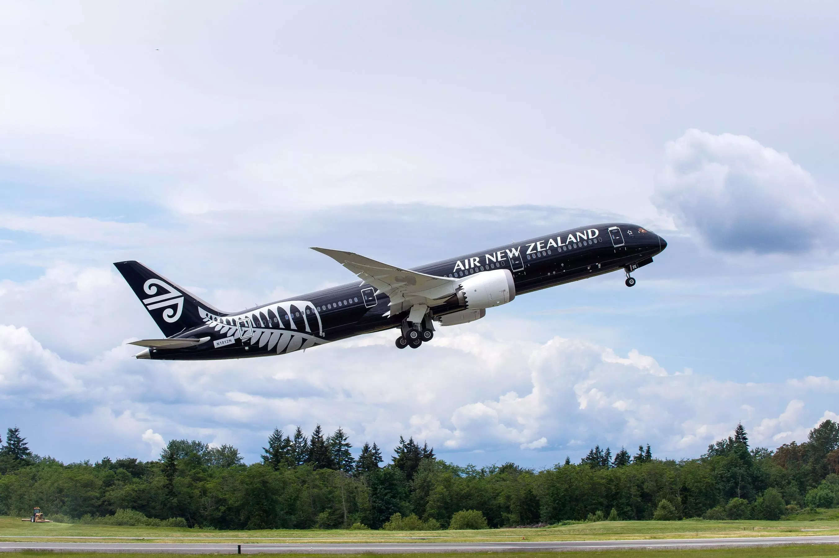 Severe turbulence on Air New Zealand flight: Crew member hits ceiling, passenger scalded by coffee 
