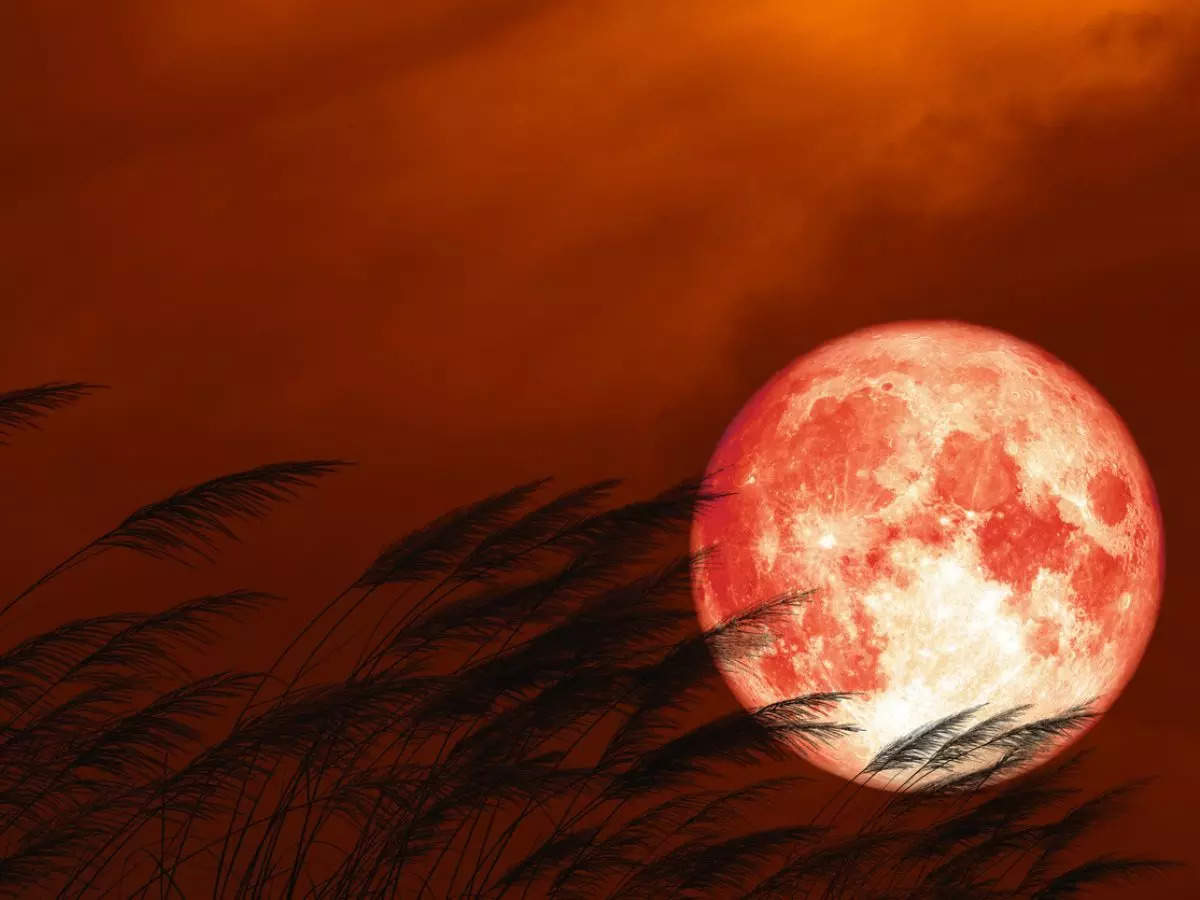 Strawberry Moon 2024: Best viewing time to witness the celestial event in US 