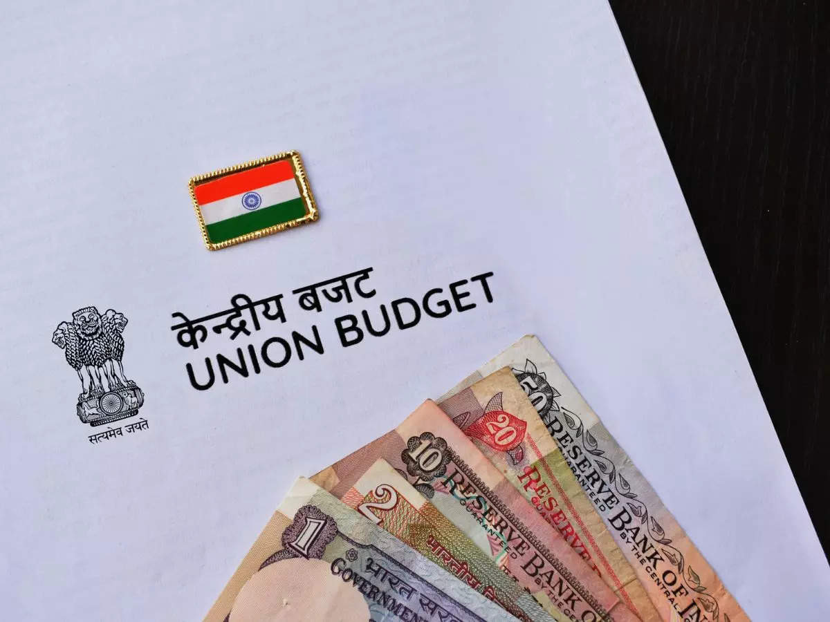 Why the Government needs a Budget: Understanding the importance and role 