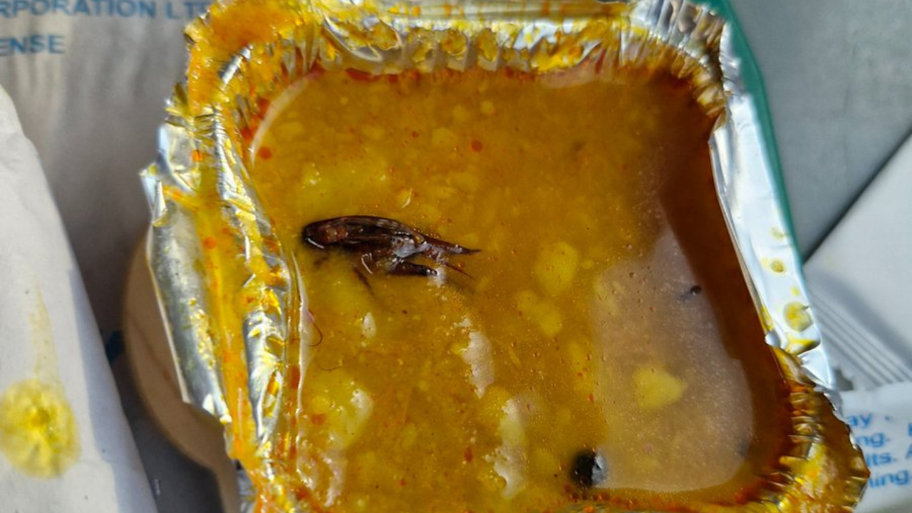 Cockroach found in food served in Vande Bharat train. IRCTC apologises 