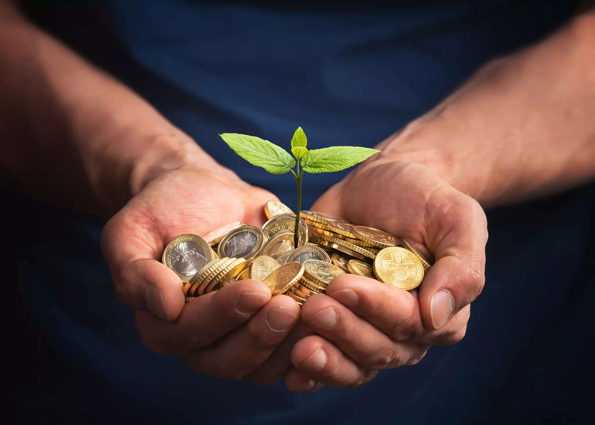 MSMEs & green finance: How fintechs can help small businesses adopt sustainability 