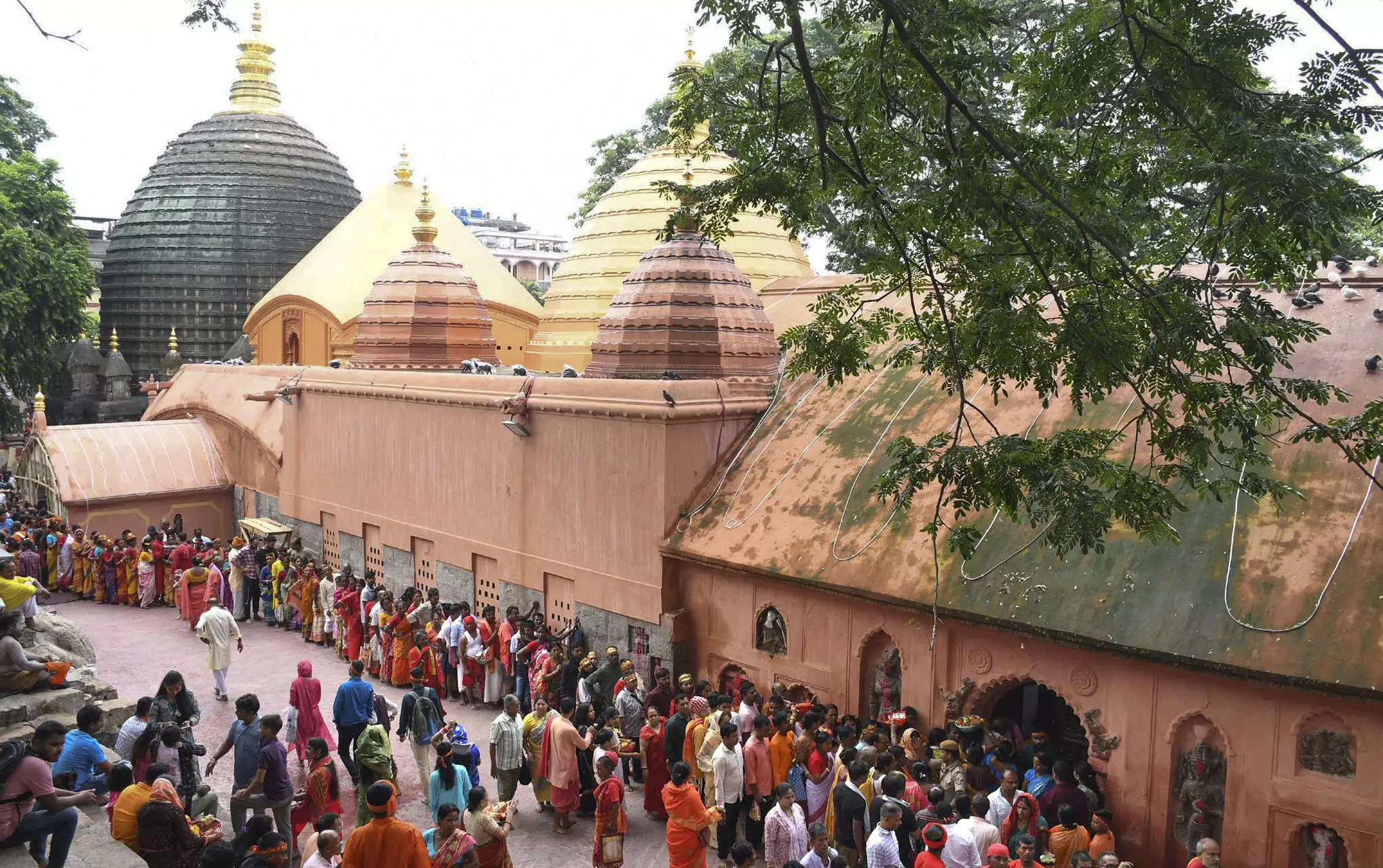 No construction shall start in proposed Maa Kamakhya Temple Access Corridor until IIT clearance: Assam govt to Gauhati HC 