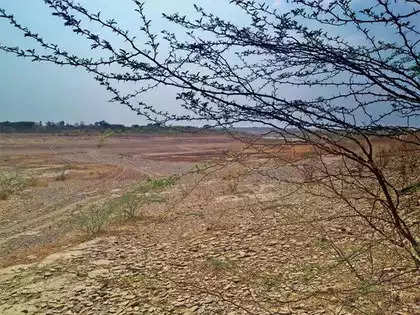 West Bengal forms panel to prevent grabbing of govt land 